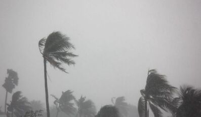 Qatar weather 